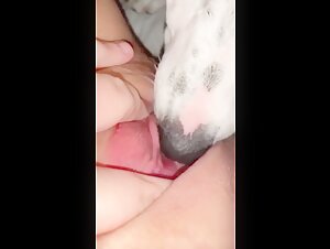 Dog licks the intimacy of a young woman