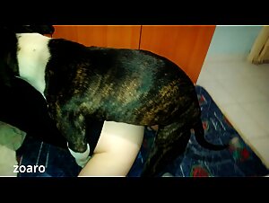 Dog Love: When a Slut Loves Her Pet Dog