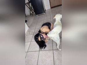 Dog Poisoning: Extreme Sexual Obsessions