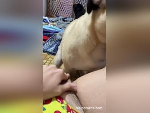 Dog Porn Amateur: Teen Girl Canine Submission