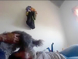 Dog satisfying an eager young woman