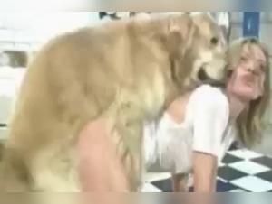 Dog sex: hardcore and irresistible animal orgies