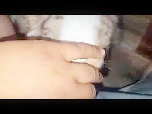 Dog subjected to extreme domination