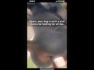 Dog submissive to a dominant female