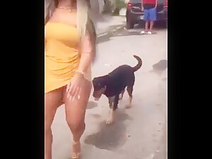 Dog tries to mate with woman on the street