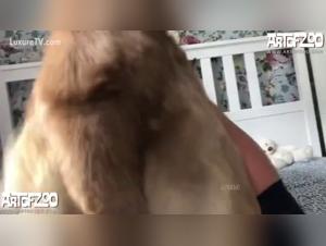 Doggie desires abyssaux with Katty West