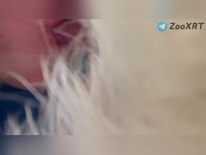 Doggy Hardcore Compilation