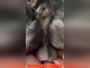 Doggystyle Domination: deep nodes and sweaty