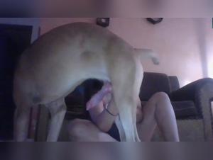 Doggysuka - Extreme Zoophilia Videos