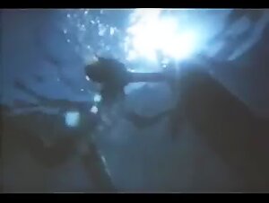 Dolphin and Woman: An Unusual Encounter