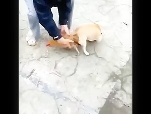 Drink and the female dog