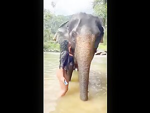 Elephant Bite Boob: An Exciting Zoophile Encounter