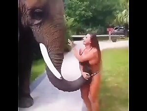Elephant grabs breasts dirty dog: Zoophilia Vid for animalporn lovers!