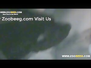 Epic Doggy Sex Video - Naughty MILF and Her Best Friend on All Fours