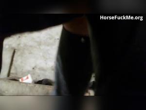 equine debauchery: Milf explode with pleasure with ponies