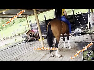 Erotic animality, dildo beurette beurette sluts, Zoophilia tube creampie creampie