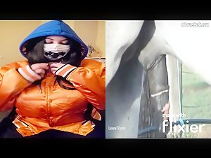 Esskayuwu and his horse face to face: a bestial encounter