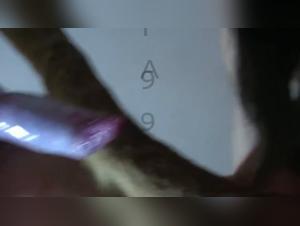 Exacerbated bestiality: Lise and her canine toy