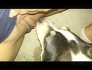 Excited dog licking my privacy