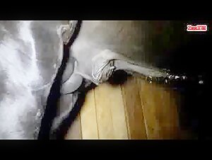 Excited horse sniffs wet pussy in the stable