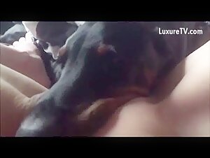 Exciting dog licks deep 5