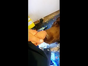 Exciting Zoophilia: Licking