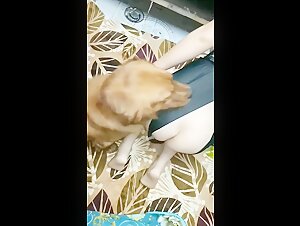 Exclusive bestiality video - Discover the forbidden