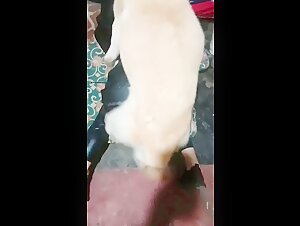 Exclusive Bestiality Video - Experience the Extreme with ArtofZoo