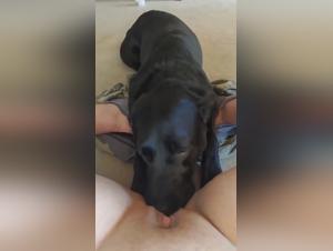 Exclusive: Women have bestial fun with their dogs