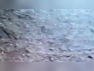 Experience Wild Passion: Intense Female Animal Sex