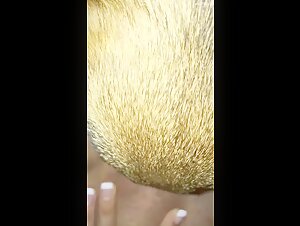 Expert canine language: a beastly experience