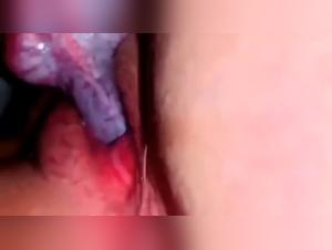 Explore Dark Delights: Milly and her Dog in an Intense Exchange