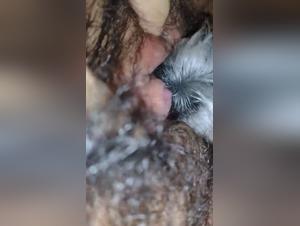 Explore ultimate pleasure: Zofilia Hardcore