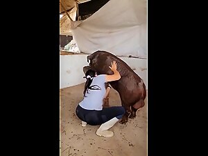 Explore unbridled animality: brutal sex with dog