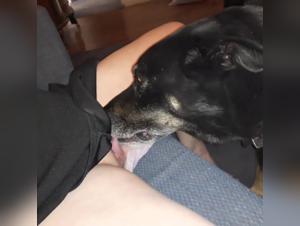 Extreme Animal Sex: Women & Dogs