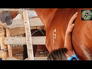 Extreme Animated Bestiality: Slutty Cat Looking For Love