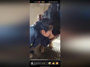 Extreme bestiality: China sperma fever