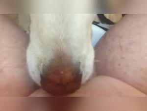 Extreme Bestiality: Forbidden Pleasure Revealed