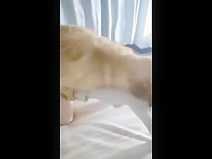 Extreme Bestiality Video - Forbidden Experience with an Animal