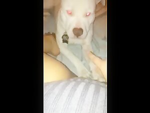 Extreme Bestiality Video: Submissive to her Dog