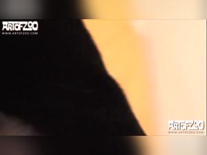 Extreme bestiality zoo porn with woman, dog and fucking