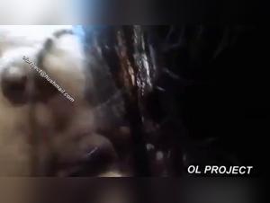 Extreme Sex Video With Dog - Smoking Overalls Dog Sex Tablet