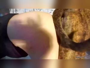 Extreme zoophilia: boundless bestiality