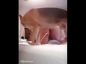 Extreme Zoophilia: Dog and Slut in a Brutal Fuck