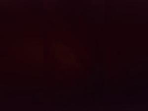 Extreme Zoophilia: Female Savagery