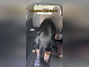 Extreme zoophilia: truck, sex and bestial instinct