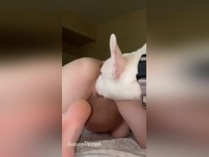 Extreme Zoophilia Video - Go beyond the limits