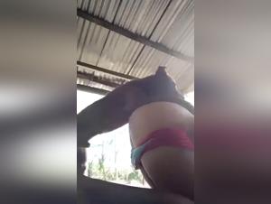 Extreme Zoophilia Videos - Porn with cats and dogs
