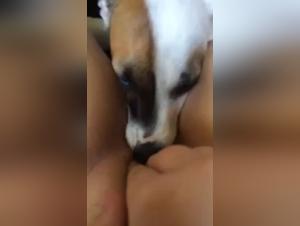 Extremo Animal Fetish: Unbridled Debauchery