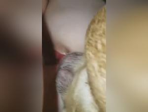 Fantasies K9 exacerbated